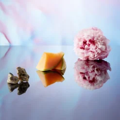 Banderas Blue Seduction For Her -Flair Parfum Soldes Magasin banderas blue seduction for her eau de toilette pour femme 4