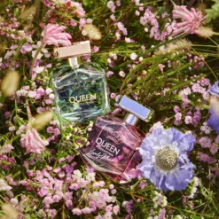 Banderas Queen Of Seduction Lively Muse -Flair Parfum Soldes Magasin banderas queen of seduction lively muse eau de toilette pour femme 4