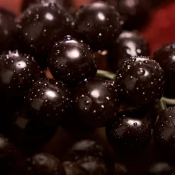 Calvin Klein My Euphoria -Flair Parfum Soldes Magasin calvin klein my euphoria eau de parfum pour femme 5