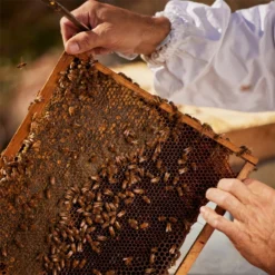 GUERLAIN Aqua Allegoria Nerolia Vetiver Harvest -Flair Parfum Soldes Magasin guerlain aqua allegoria nerolia vetiver harvest eau de toilette pour femme edition limitee 4