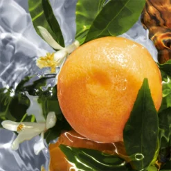 GUERLAIN Aqua Allegoria Pamplelune -Flair Parfum Soldes Magasin guerlain aqua allegoria pamplelune eau de toilette recharge pour femme 2