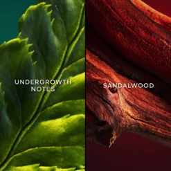 GUERLAIN Chant D'Arômes -Flair Parfum Soldes Magasin guerlain chant daromes eau de toilette pour femme 3