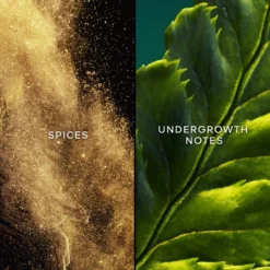 GUERLAIN Vol De Nuit -Flair Parfum Soldes Magasin guerlain vol de nuit eau de toilette pour femme 3