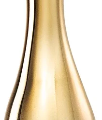 Jennifer Lopez Enduring Glow