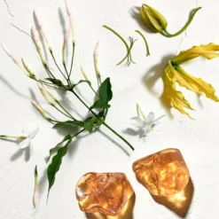 Jil Sander Sun -Flair Parfum Soldes Magasin jil sander sun eau de toilette pour femme 2